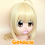 Fate/Zero & Fate/Stay Night Cosplay Saber Gold Ponytail Wig